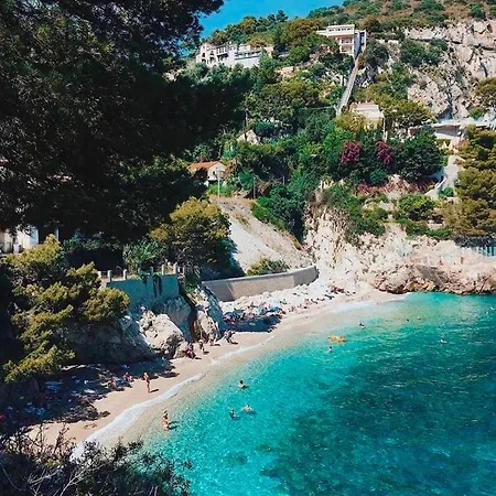 Neuf Coup De Coeur Entre Et Monaco Appartement