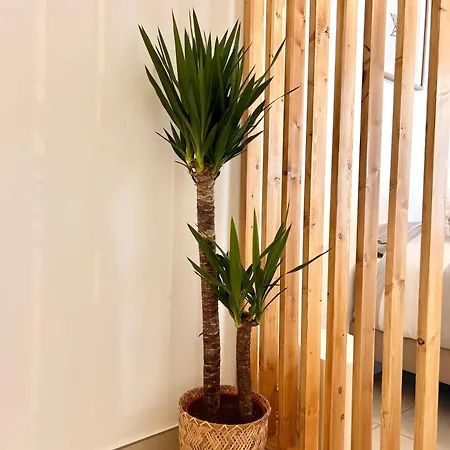 Appartamento Neuf Coup De Coeur Entre Et Monaco Èze